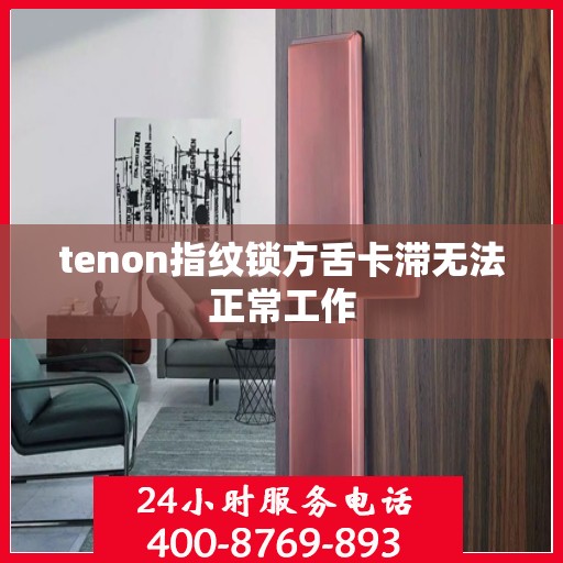 tenon指纹锁方舌卡滞无法正常工作