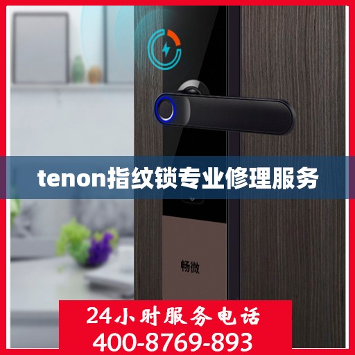 tenon指纹锁专业修理服务