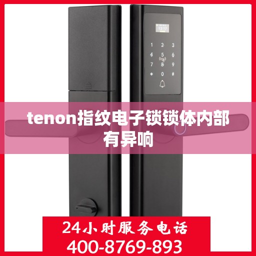 tenon指纹电子锁锁体内部有异响
