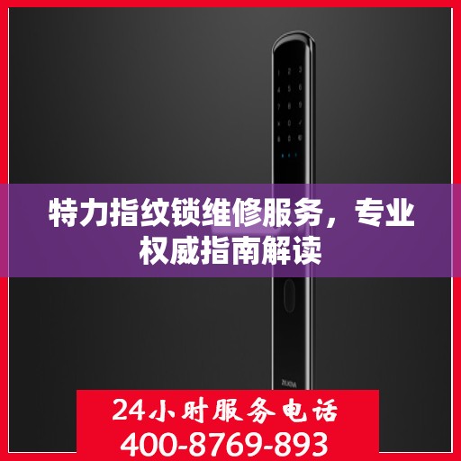 特力指纹锁维修服务，专业权威指南解读