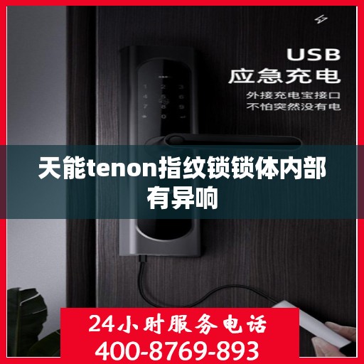 天能tenon指纹锁锁体内部有异响