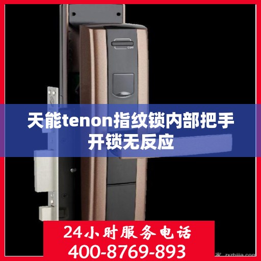 天能tenon指纹锁内部把手开锁无反应