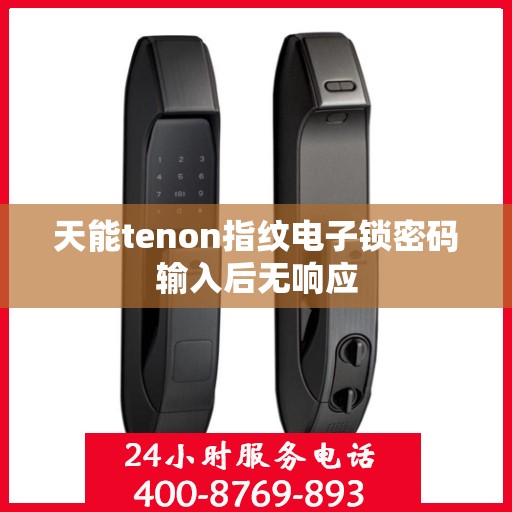 天能tenon指纹电子锁密码输入后无响应