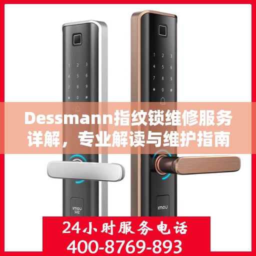 Dessmann指纹锁维修服务详解，专业解读与维护指南