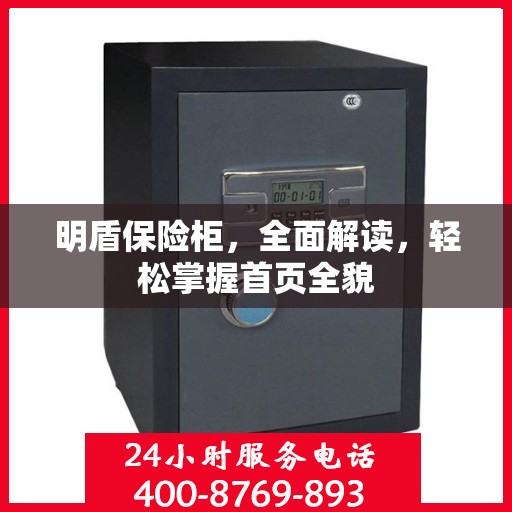 明盾保险柜，全面解读，轻松掌握首页全貌