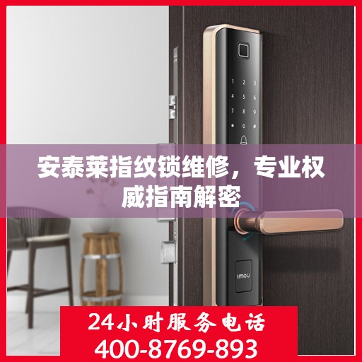 安泰莱指纹锁维修，专业权威指南解密