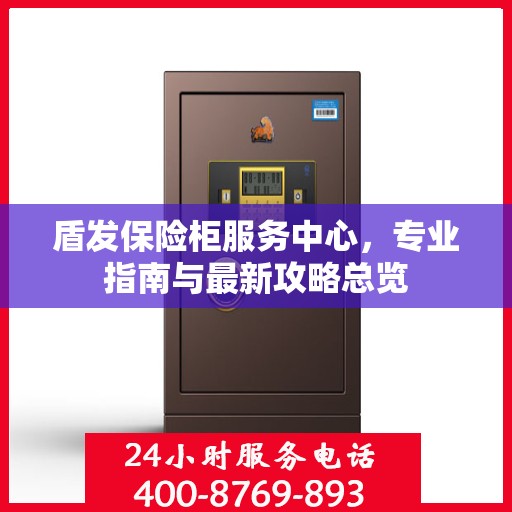 盾发保险柜服务中心，专业指南与最新攻略总览