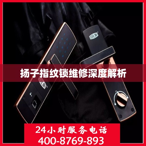 扬子指纹锁维修深度解析