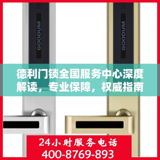 德利门锁全国服务中心深度解读，专业保障，权威指南