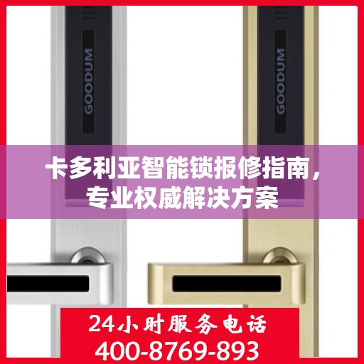 卡多利亚智能锁报修指南，专业权威解决方案
