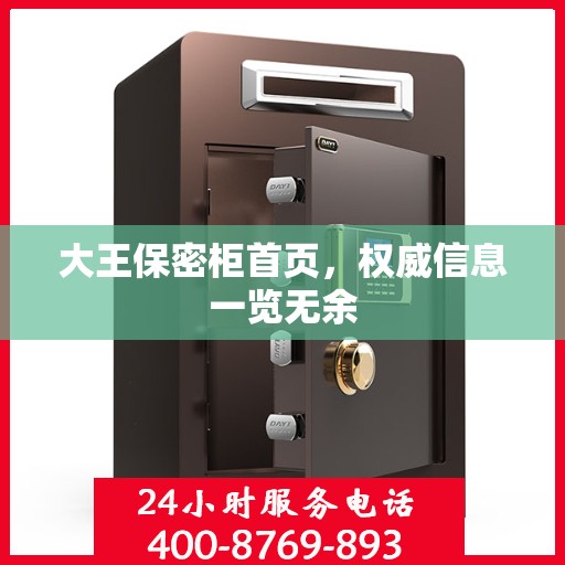 大王保密柜首页，权威信息一览无余