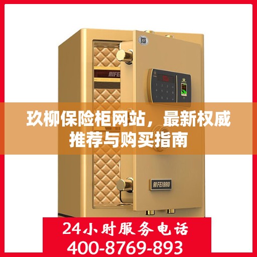 玖柳保险柜网站，最新权威推荐与购买指南