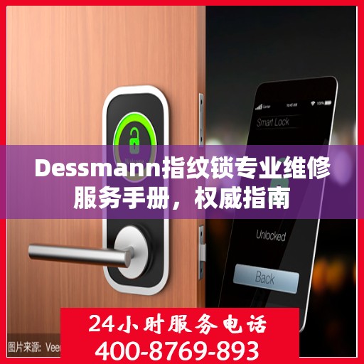 Dessmann指纹锁专业维修服务手册，权威指南