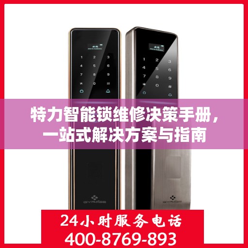 特力智能锁维修决策手册，一站式解决方案与指南