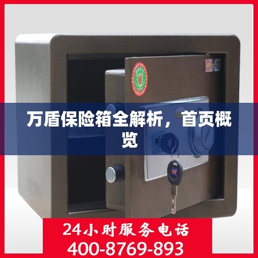 万盾保险箱全解析，首页概览