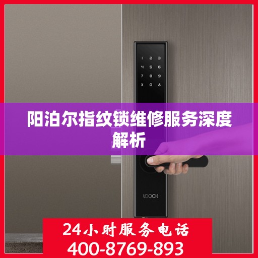 阳泊尔指纹锁维修服务深度解析
