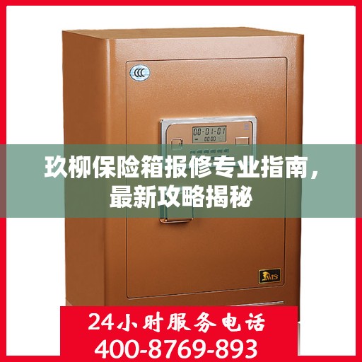 玖柳保险箱报修专业指南，最新攻略揭秘