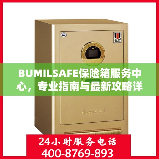 BUMILSAFE保险箱服务中心，专业指南与最新攻略详解