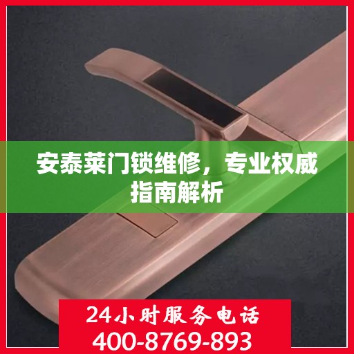 安泰莱门锁维修，专业权威指南解析