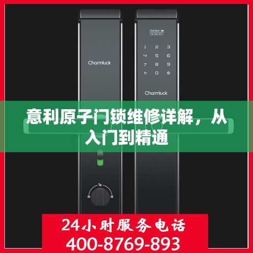 意利原子门锁维修详解，从入门到精通