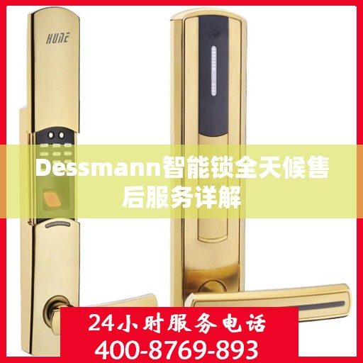 Dessmann智能锁全天候售后服务详解