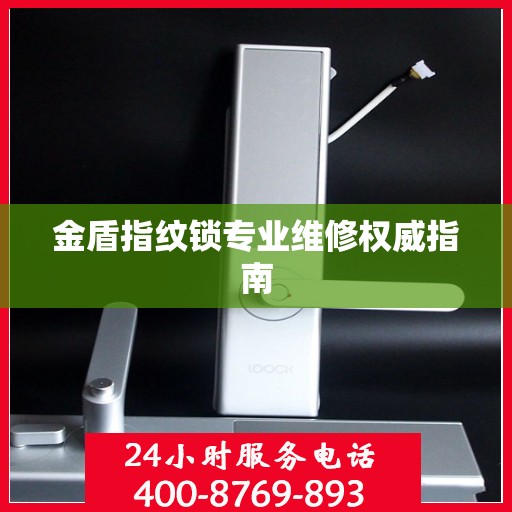 金盾指纹锁专业维修权威指南