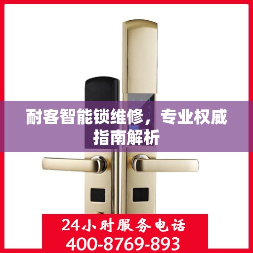 耐客智能锁维修，专业权威指南解析