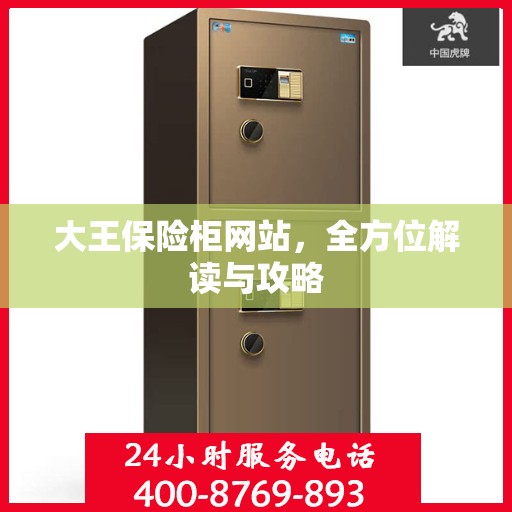 大王保险柜网站，全方位解读与攻略