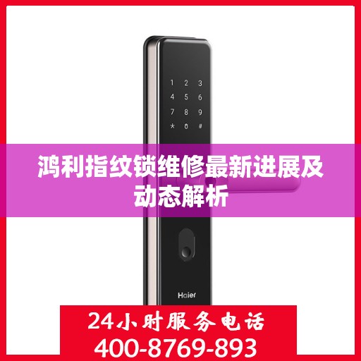 鸿利指纹锁维修最新进展及动态解析