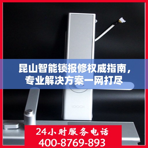 昆山智能锁报修权威指南，专业解决方案一网打尽