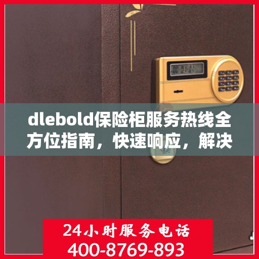 dlebold保险柜服务热线全方位指南，快速响应，解决您的所有问题