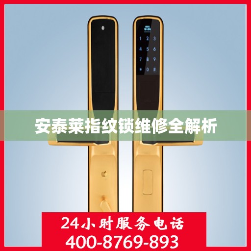 安泰莱指纹锁维修全解析