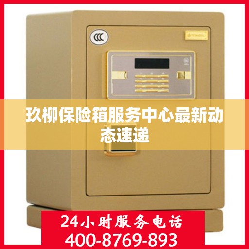 玖柳保险箱服务中心最新动态速递