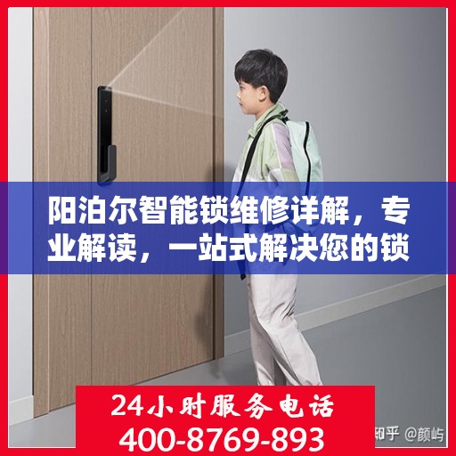 阳泊尔智能锁维修详解，专业解读，一站式解决您的锁具问题
