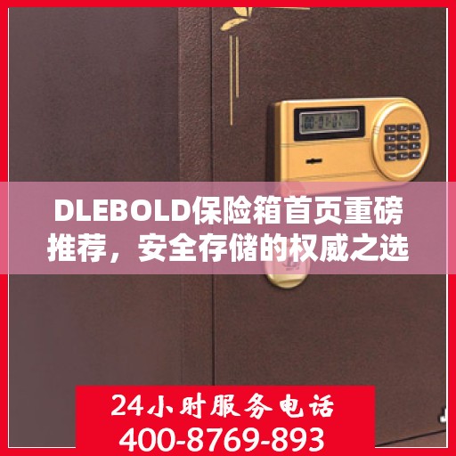 DLEBOLD保险箱首页重磅推荐，安全存储的权威之选