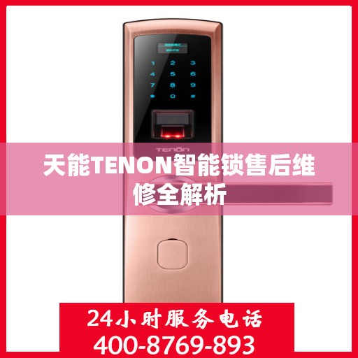天能TENON智能锁售后维修全解析