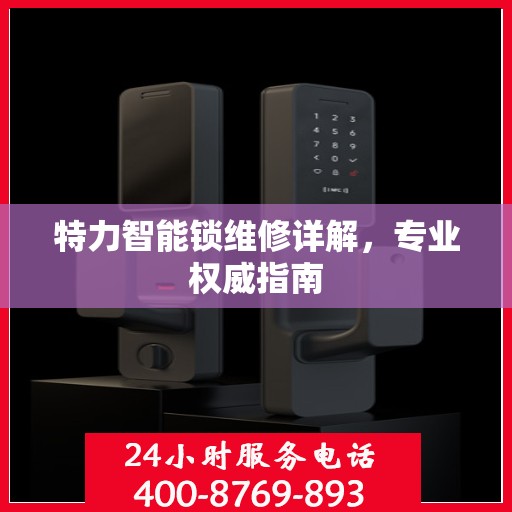 特力智能锁维修详解，专业权威指南