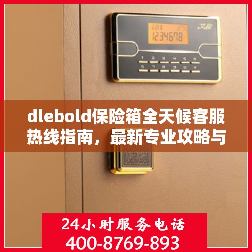 dlebold保险箱全天候客服热线指南，最新专业攻略与快速响应服务
