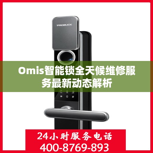 Omis智能锁全天候维修服务最新动态解析