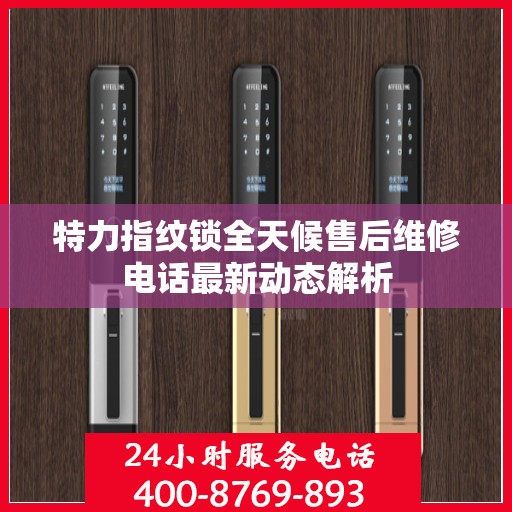 特力指纹锁全天候售后维修电话最新动态解析