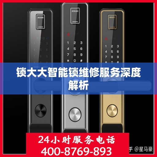 锁大大智能锁维修服务深度解析