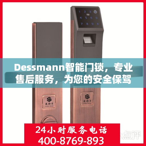 Dessmann智能门锁，专业售后服务，为您的安全保驾护航