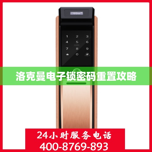 洛克曼电子锁密码重置攻略