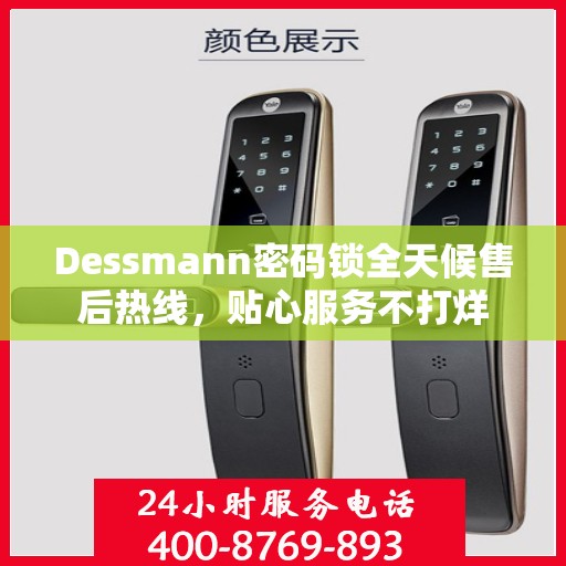 Dessmann密码锁全天候售后热线，贴心服务不打烊