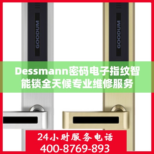 Dessmann密码电子指纹智能锁全天候专业维修服务