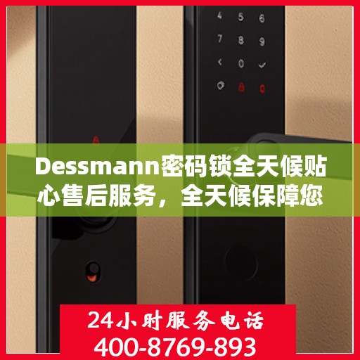 Dessmann密码锁全天候贴心售后服务，全天候保障您的安全！