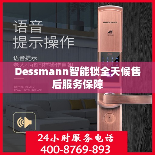 Dessmann智能锁全天候售后服务保障