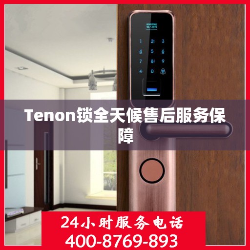 Tenon锁全天候售后服务保障