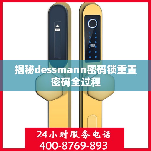 揭秘dessmann密码锁重置密码全过程