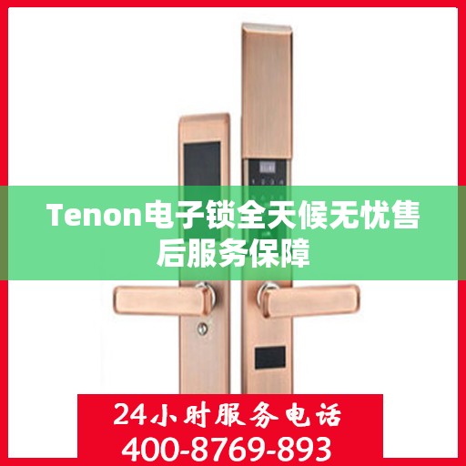 Tenon电子锁全天候无忧售后服务保障